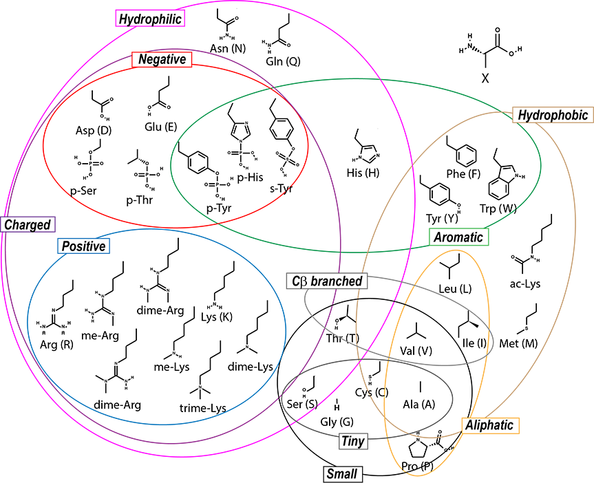 AA Venn diagram